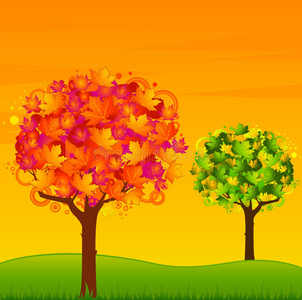 背景是秋天的树叶树。