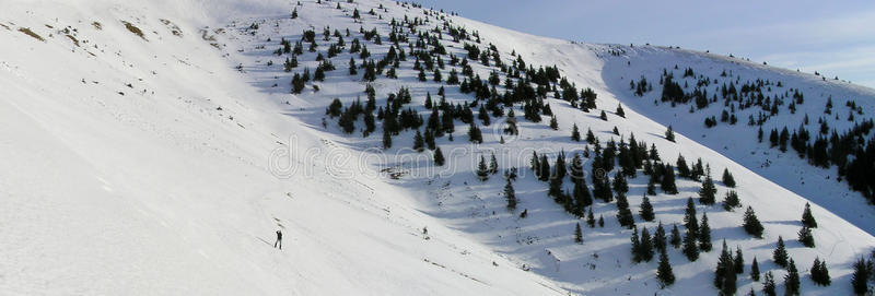 雪原