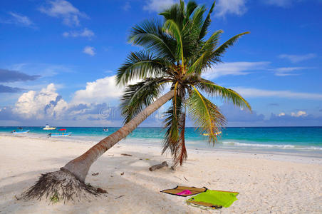 墨西哥加勒比海海滩
