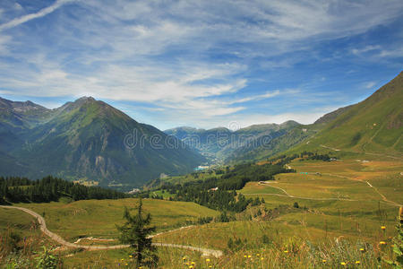 阿尔卑斯山的田野和草地。