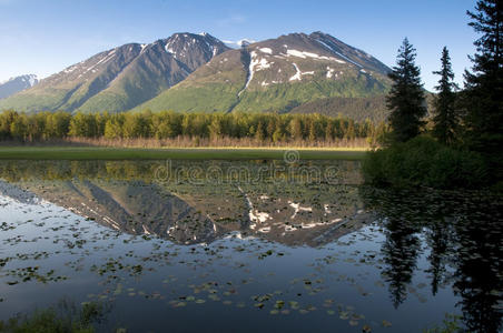 阿拉斯加的基奈半岛照片