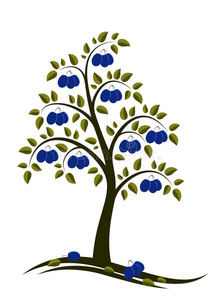 水果李浩然图片-水果李浩然素材-水果李浩然插画-摄图新视界