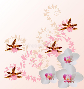 淡粉色兰花装饰