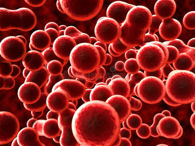 红细胞高渗图片