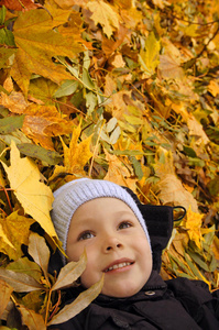 躺在秋叶上的小男孩
