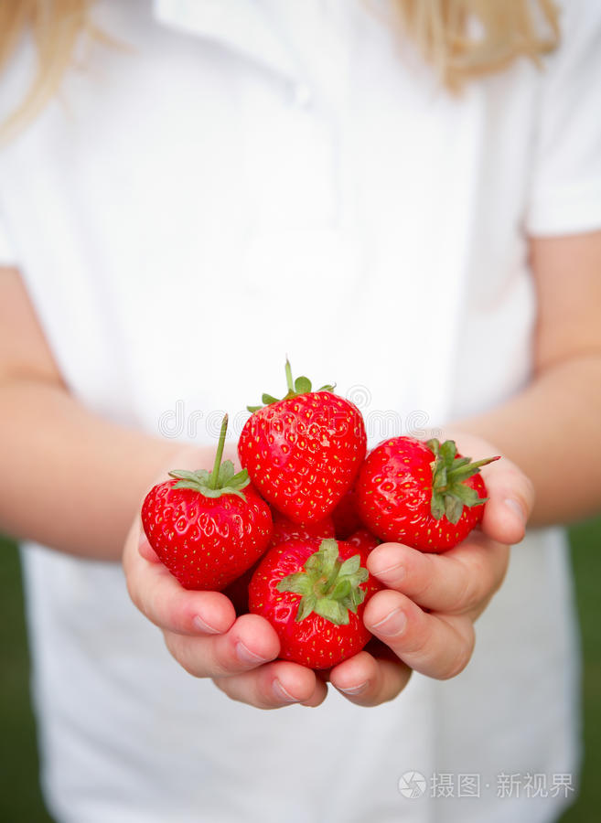 下载小样发票合同问题/举报一排成熟的西红柿草莓手拿熟西红柿小孩拿