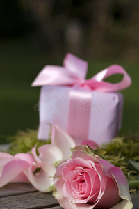 带蝴蝶结和粉红玫瑰的礼物