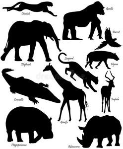 非洲动物的形状