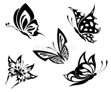 黑白蝴蝶图片-黑白蝴蝶素材-黑白蝴蝶插画-摄图新视界