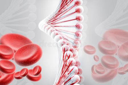 带血细胞的dna照片