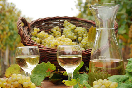 白葡萄酒和葡萄