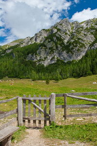 阿尔卑斯山的木栅栏图片