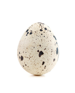 一个鹌鹑蛋照片