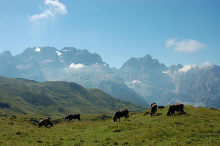 高山景观。