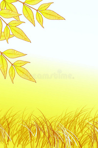 黄叶和草