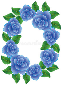 蓝玫瑰框架