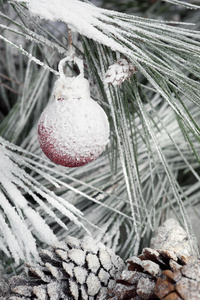 挂在松枝上的圣诞装饰品