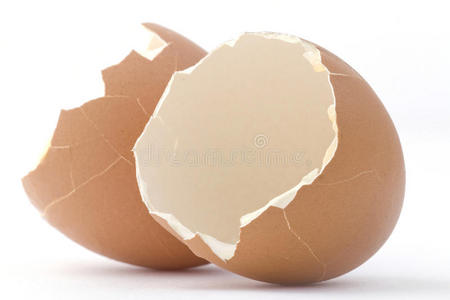蛋壳。