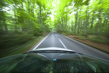 汽车快速驶入森林。