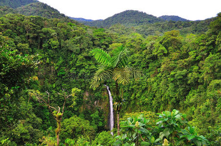 哥斯达黎加景观