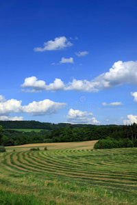 捷克夏季景观