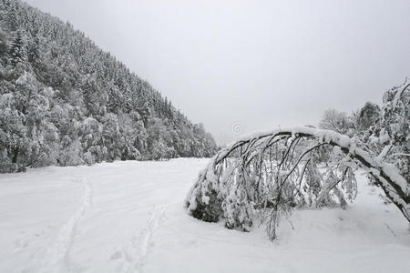 冬季景观