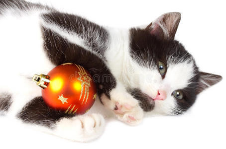 小猫玩圣诞装饰品