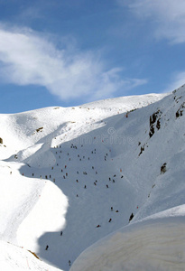 山坡上的滑雪者