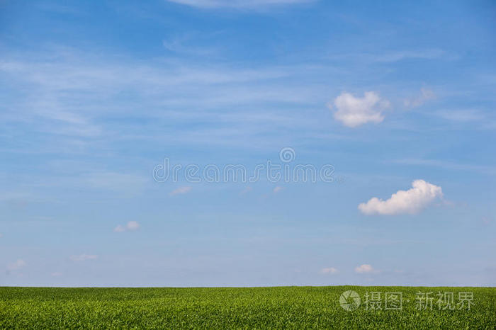 碧空夏日田野