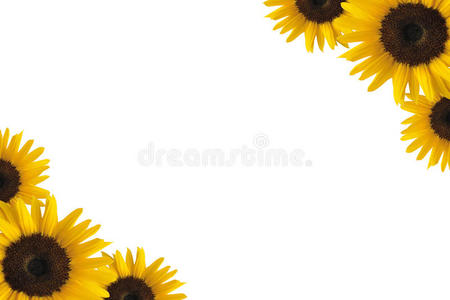 折花边纸盒子图片-折花边纸盒子素材-折花边纸盒子插画-摄图新视界
