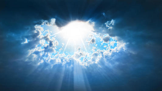 红宝石夕阳在海上阳光普照金色的秋天,阳光普照森林里有美丽的树木3d