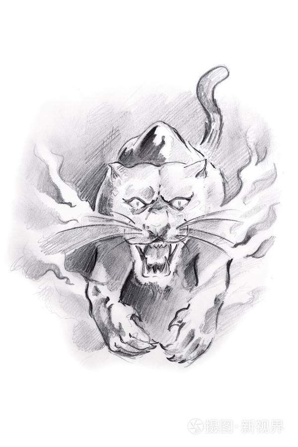 纹身艺术豹的素描