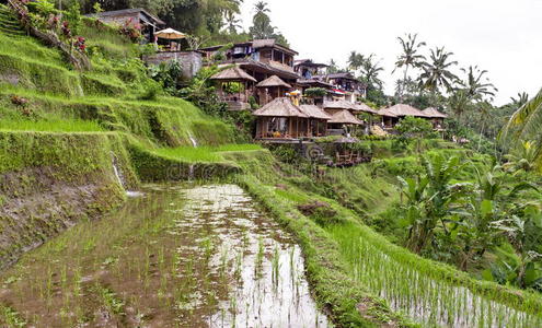 印尼乡村