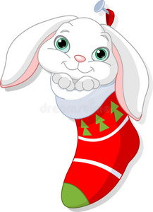 圣诞袜兔