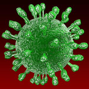 轮状病毒图片