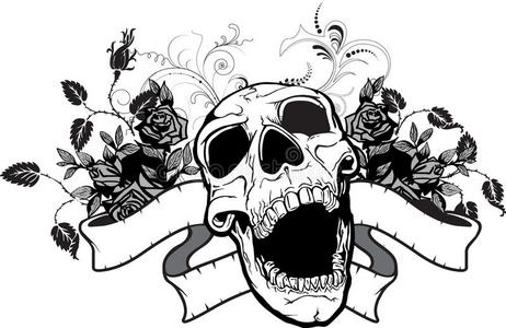 骷髅蛾图片-骷髅蛾素材-骷髅蛾插画-摄图新视界