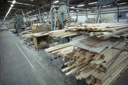 锯谷盗图片-锯谷盗素材-锯谷盗插画-摄图新视界