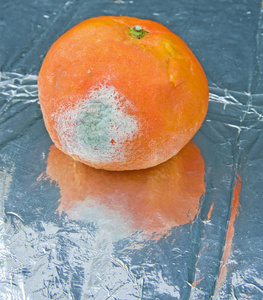 模具水果图片-模具水果素材-模具水果插画-摄图新视界