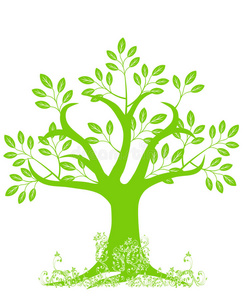 带有叶子和藤蔓的抽象树轮廓照片