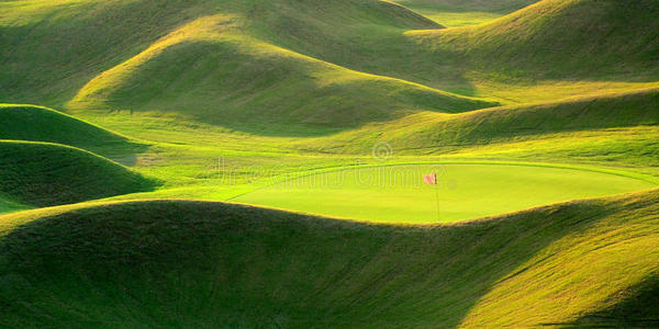 有光影的绿色高尔夫球场图片