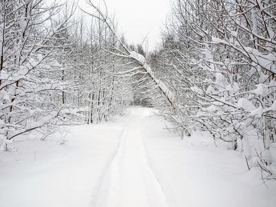 冬季道路