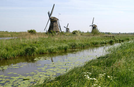 老荷兰风车图片