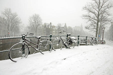 荷兰阿姆斯特丹的雪地自行车