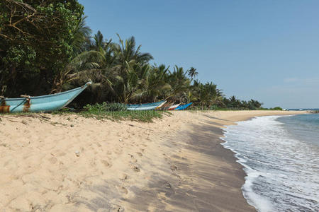 田园诗般的海滩。斯里兰卡
