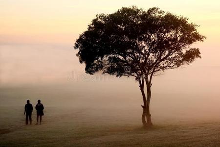 雾蒙蒙的晨间散步