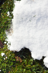 草地上的雪图片