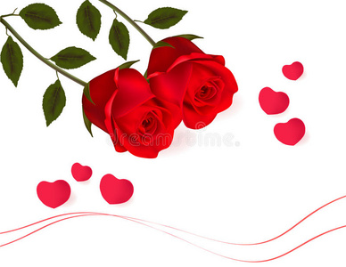 美丽的带蝴蝶结的红玫瑰。矢量