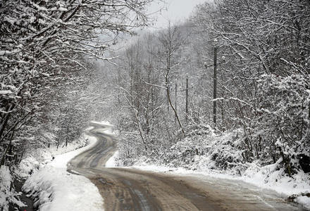 雪林中弯弯曲曲的道路图片