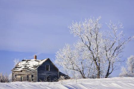 冬天的旧农舍