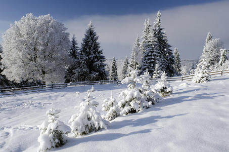 冬日雪景